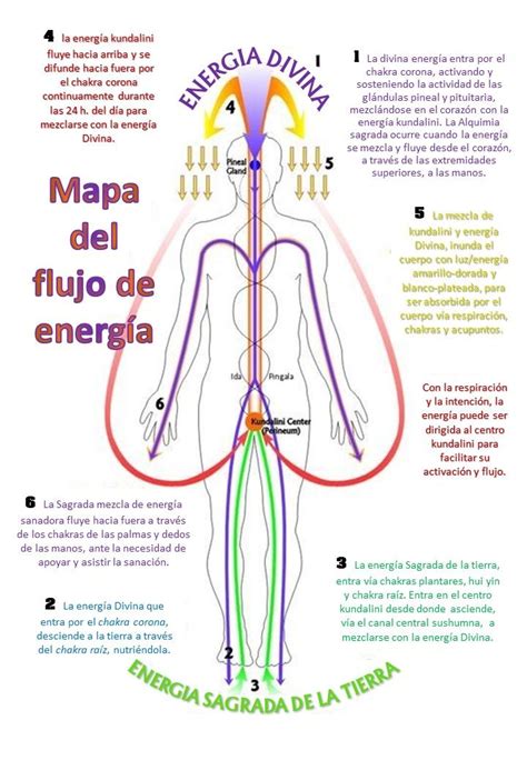 Diagrama conceptual del flujo de energía en el cuerpo según el Dantian