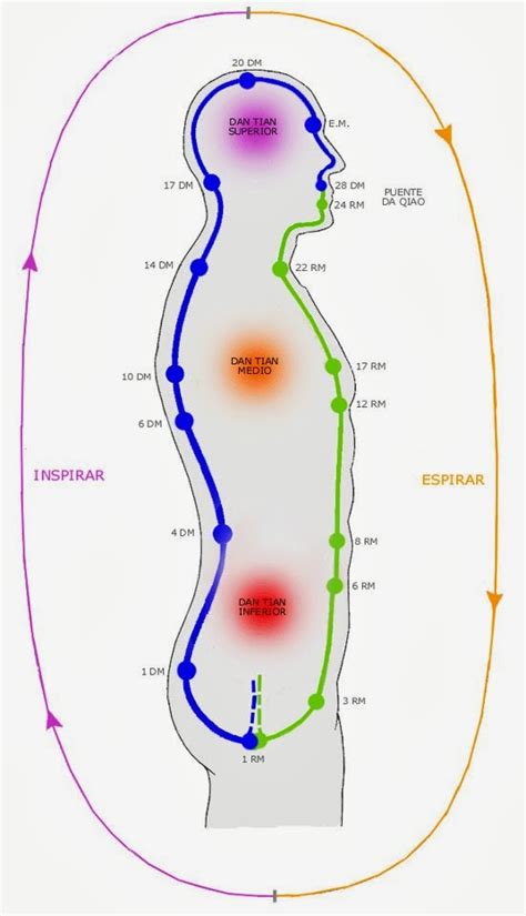 Ilustración mostrando el flujo de energía (Qi) en el cuerpo humano