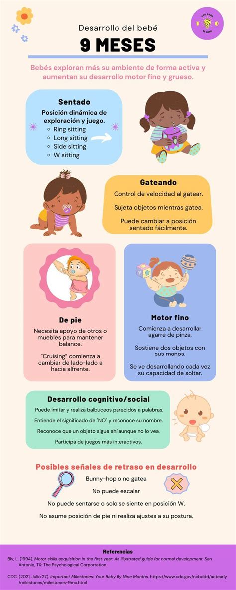 Infografía: Etapas del desarrollo del bebé
