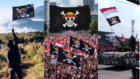 Bandera de los Sombrero de Paja en una manifestación