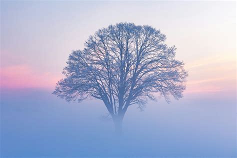 Nave de Germa 66 emergiendo de la niebla
