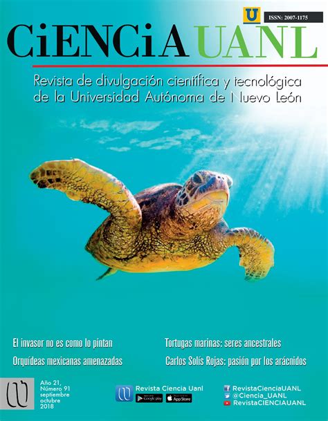 Logo de la revista Young Animal