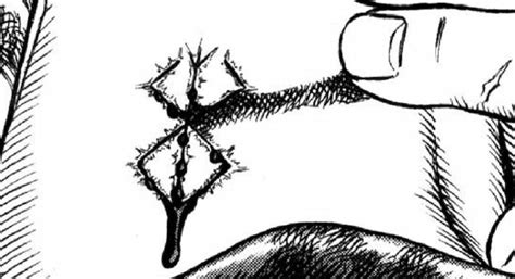 Rosa como símbolo de sacrificio