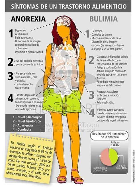 Infografía sobre los síntomas y efectos de la anorexia nerviosa