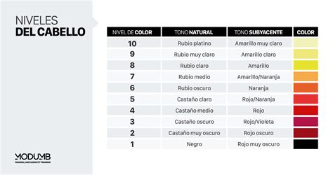 Escala de niveles de aclarado del cabello
