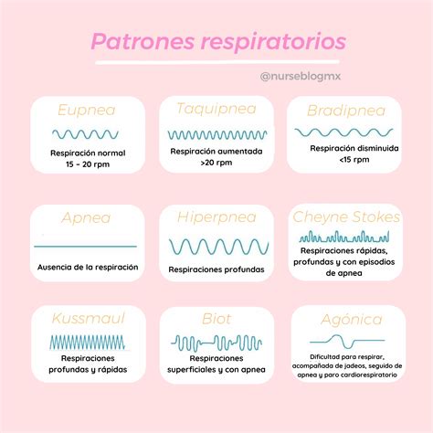 Tabla comparativa de los estilos de respiración y sus características