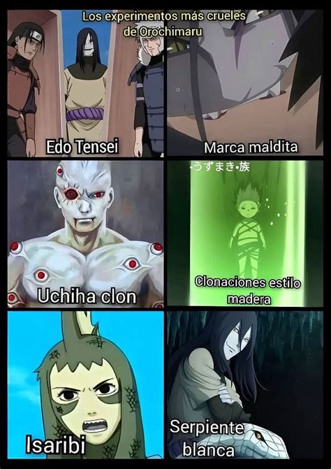 Diagrama de los objetivos de los experimentos de Orochimaru