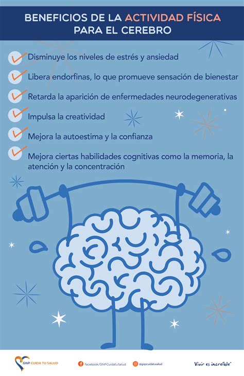 Infografía sobre los beneficios de la peregrinación