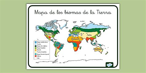 Mapa de la tierra mística de Fiore