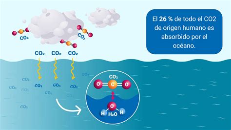 Infografía explicando la acidificación del océano por CO2