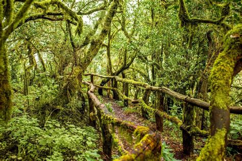 Paisaje montañoso de La Gomera con el Parque Nacional de Garajonay.
