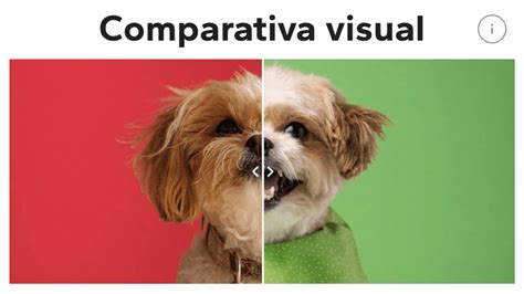 Comparativa visual de Haki Transparente vs. Haki Negro