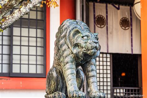 Escultura de un tigre en el Templo Kurama