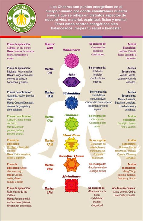Diagrama explicando la formación y los elementos del chakra