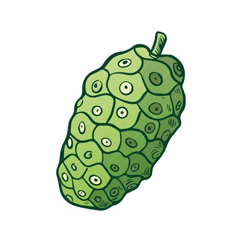 Ilustración de la Fruta de la Fuerza