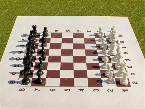 Tablero de ajedrez con piezas negras y blancas