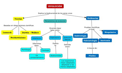 Mapa conceptual de la evolución de una relación