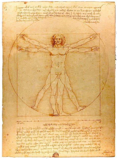 El Hombre de Vitruvio de Leonardo da Vinci