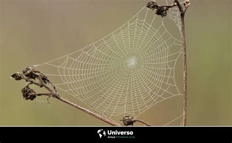 Kidōmaru atacando con sus telarañas