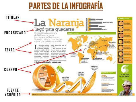 Infografía: Estructura de la banda Given