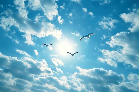 Cielo azul con pájaros volando