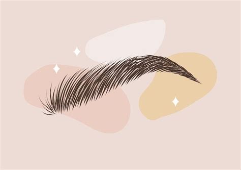 Ilustración de cejas blanqueadas
