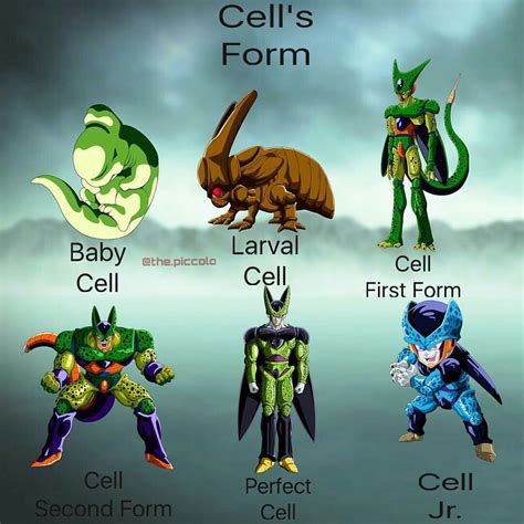 Formas evolutivas de Cell