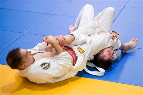 Infografía comparando Ju-Jitsu tradicional, BJJ y Combat Ju-Jitsu