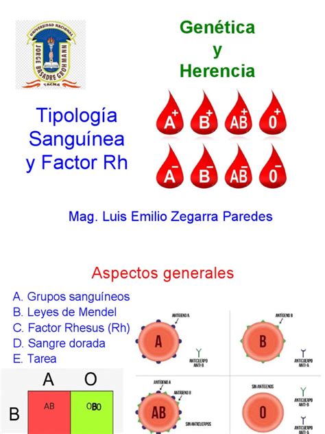 Ilustración de grupos sanguíneos y su herencia genética