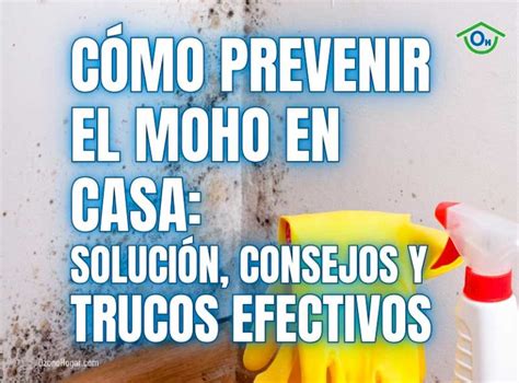 Infografía con consejos para prevenir el moho en el baño