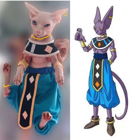 Cosplay de Beerus que lo hace parecer adorable