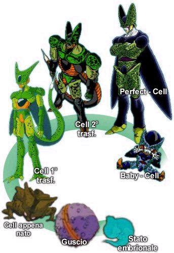 Comparativa de formas de Cell