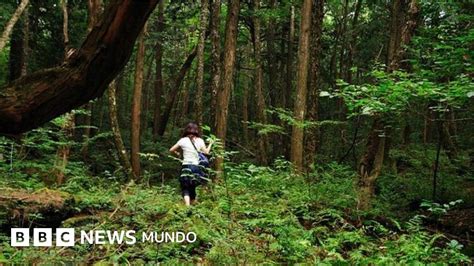 El Bosque de la Muerte