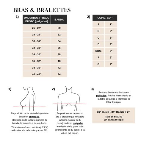 Comparativa de la apariencia de Bra en diferentes etapas