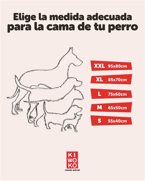 Infografía: Cómo medir la cama ideal para tu perro