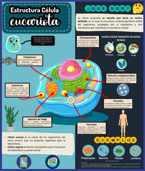 Infografía sobre la estructura de las murallas y la altura de los Titanes
