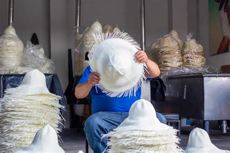 Infografía sobre la evolución del estilo de los Sombreros de Paja