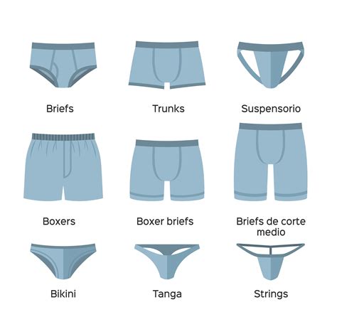 Ilustración de diferentes cortes de bóxers