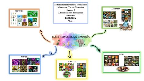 Mapa de los reinos de Bleach