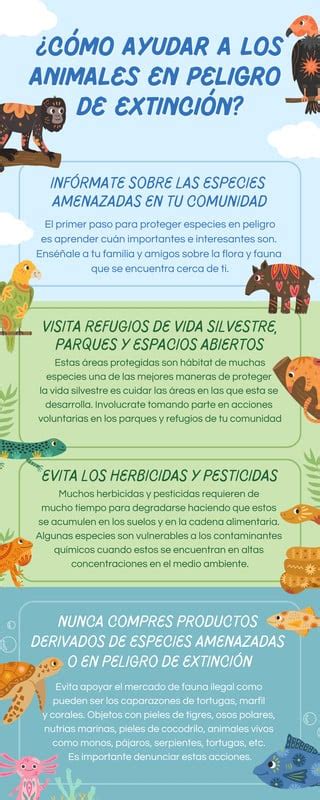 Infografía sobre la extinción solar