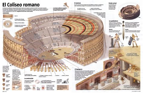Diagrama de la estructura subterránea del Coliseo Corrida