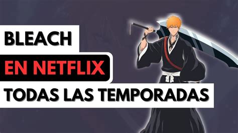Estructura de las temporadas de Bleach