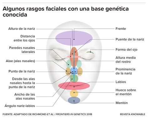 Ilustración de un Beherit con rasgos faciales