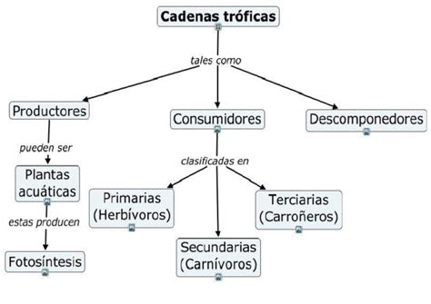 Mapa conceptual de la cadena de transformación y herencia de poderes de titán