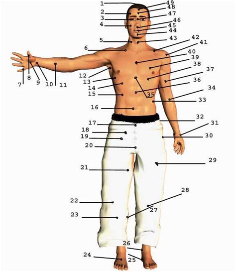 Mapa del cuerpo humano señalando puntos vitales para atemi