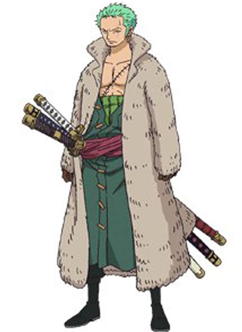 Zoro en Punk Hazard