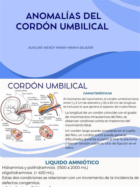 Anomalías del cordón umbilical