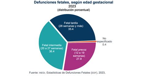 Estadísticas de mortalidad fetal