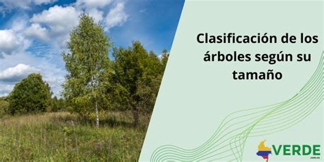 Clasificación de los titanes por tamaño