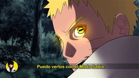 Naruto Uzumaki en Modo Sabio Sapo Perfecto.